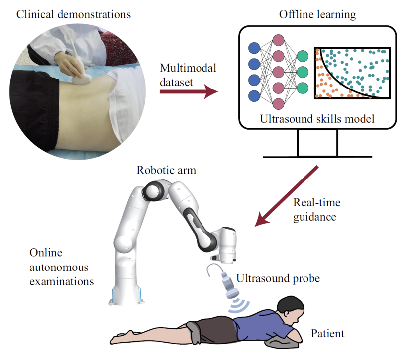 The global workflow of autonomous ultrasound.